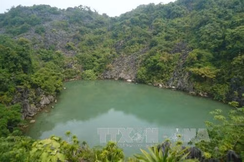 Vườn Quốc gia Bái Tử Long là Vườn Di sản thứ 38 của ASEAN ảnh 21