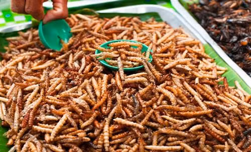 Món ăn từ sâu được bán tại chợ ở Thái Lan. Ảnh: Asiafood.