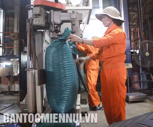 Việc đăng ký bảo hộ chỉ dẫn địa lý Cà phê Buôn Ma Thuột là một cách để khai thác thị trường hàng hóa cấp cao, nâng cao giá trị xuất khẩu của mặt hàng này. Ảnh: Phạm Cường