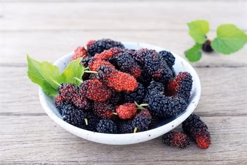 Mặc dù đây là một điều tốt, nhưng điều quan trọng là không nên cho những bệnh nhân đang điều trị hóa trị ăn dâu tằm nếu không được bác sĩ cho phép.