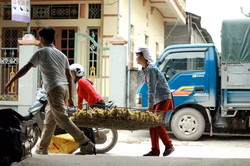Những chủ cơ sở chăn nuôi và khách hàng lựa chọn con giống, sau đó xuất đi khắp các tỉnh thành trong cả nước.