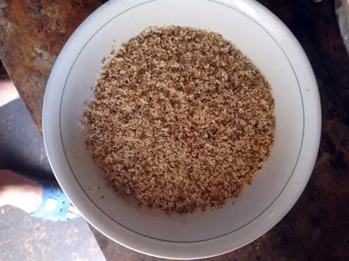 Trứng kiến mẩy, căng, thành quả của một buổi chiều. Ảnh: Hoàng Hân