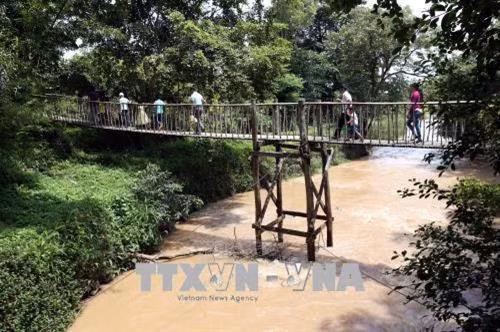 Khách du lịch trải nghiệm đi cầu treo tại buôn Đôn. Ảnh: Anh Tuấn - TTXVN
