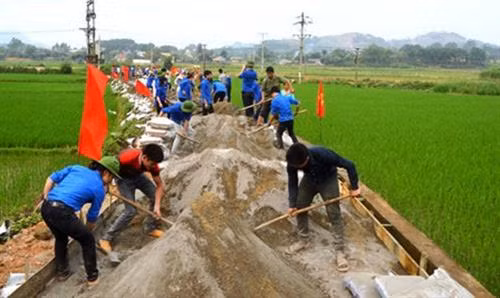 Tuổi trẻ Kon Tum chung tay xây dựng nông thôn mới ảnh 1
