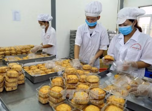 Đóng gói sản phẩm bánh trung thu. Ảnh: Vũ Sinh - TTXVN