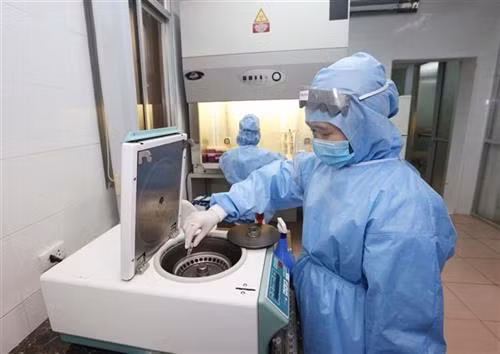 Các nhân viên y tế Viện nghiên cứu Y dược học quân sự (Học viện Quân y) tách mẫu sinh phẩm để xác định virus SARS-CoV-2. Ảnh: Dương Giang - TTXVN