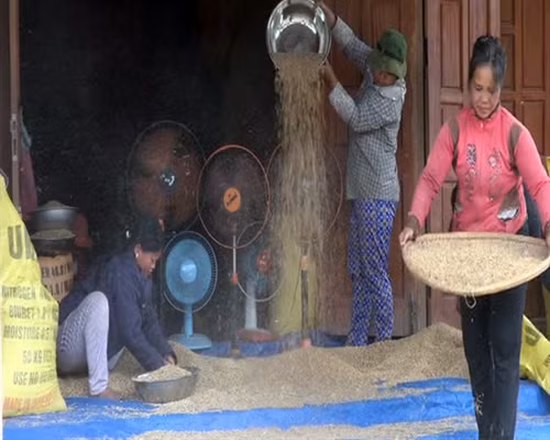 Tạo sinh kế gắn với định canh định cư ảnh 3