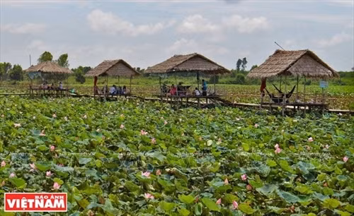 Đến Đồng Sen Gò Tháp thưởng thức hương vị và ẩm thực miệt vườn ảnh 1
