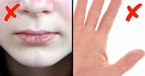 6 dấu hiệu cho thấy cơ thể bạn đang lão hóa nhanh hơn bình thường ảnh 1
