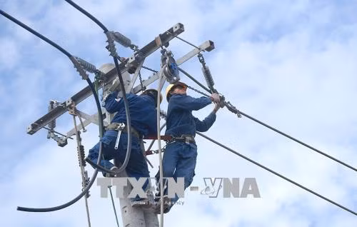 Công nhân ngành điện cải tạo, sửa chữa lưới điện trung thế. Ảnh: Thanh Vũ - TTXVN
