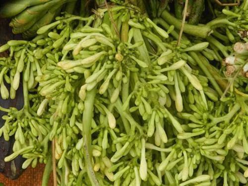 Những món rau rừng “đỉnh nhất’, ăn là nghiện của vùng Tây Bắc ảnh 5