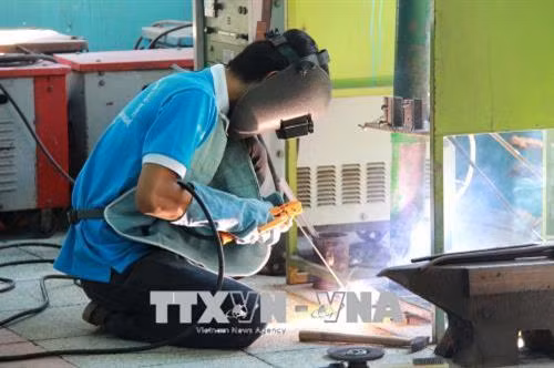 Học viên Trường Cao đẳng nghề Thủ Đức - Thành phố Hồ Chí Minh trong giờ thực hành. Ảnh: Thanh Vũ-TTXVN