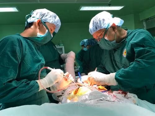 Ca phẫu thuật thay khớp háng do các bác sĩ khoa Ngoại bệnh viện Quận 11 thực hiện. Ảnh: Phương Vy -TTXVN.