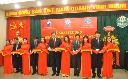 Lễ cắt băng khai trương Điểm kết nối cung cầu công nghệ toàn cầu và Trung tâm VKTEC. Ảnh: Bộ KH&CN