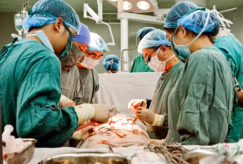 Bệnh viện Hữu nghị Đa khoa Nghệ An là bệnh viện hạng I có 1.600 giường bệnh/45 khoa nhận chuyển giao từ các bệnh viện tuyến trung ương, làm chủ nhiều kỹ thuật cao trong chẩn đoán và điều trị bệnh, trong đó 50% bệnh nhân có thẻ Bảo hiểm Y tế. Ảnh: Dương Ngọc – TTXVN