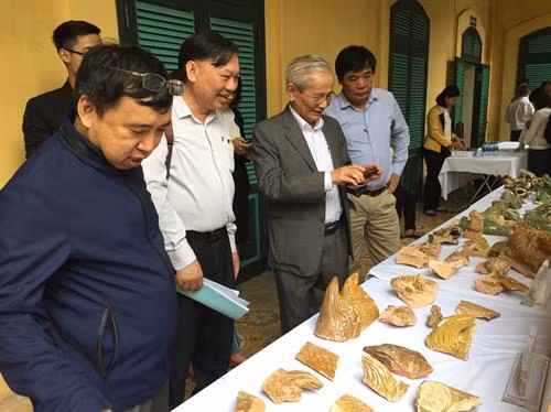 Các nhà khoa học nghiên cứu di vật được phát hiện qua đợt khai quật. Ảnh: Đinh Thuận - TTXVN