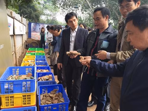 Các di vật được phát hiện qua khai quật thăm dò khu vực Chính điện Kính Thiên. Ảnh: Đinh Thuận - TTXVN
