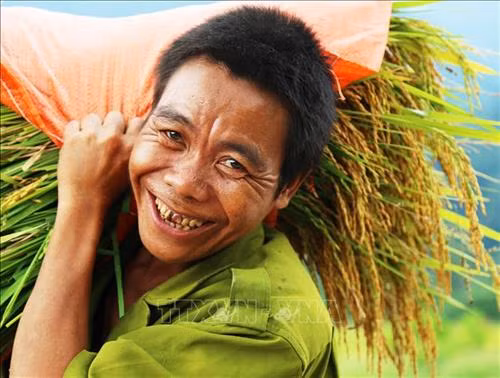 Bà con đồng bào Rục tại xã Thượng Hóa, huyện Minh Hóa phấn khởi thu hoạch lúa trên cách đồng Rục Làn. Ảnh: Mạnh Thành, Đức Thọ - TTXVN