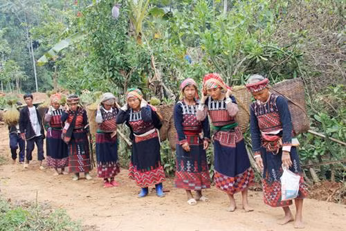 Gia chủ làm lễ giữ hồn lúa mẹ tại nương lúa. Sau khi gặt xong, các gia đình gùi lúa về nhà. Họ cùng nhau giã gạo để nấu cơm mới, chuẩn bị cho các nghi thức trong ngày hội. Chủ nương làm mâm lễ cúng mừng cơm mới. Chủ nhà dâng cơm mới mời tổ tiên về hưởng và phù hộ cho gia đình con cháu sang năm mùa màng bội thu, cuộc sống no đủ. Bà chủ nhà lấy cum lúa đè lên hồn vía lúa (dùng lá ngái bọc hồn vía lúa) giữ trên sàn gác. Mâm cơm mới dành cho vợ chồng chủ nhà theo đúng nghi thức. Người Xá Phó cùng nhau hát múa theo nghi thức truyền thống trong ngày tổ chức lễ hội “Già sợ da”.