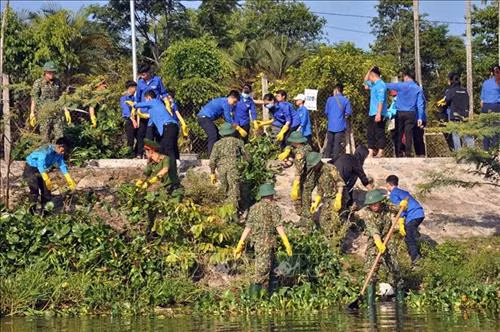 Đoàn viên thanh niên tham gia khơi thông dòng chảy, vớt bèo tại hồ điều hòa Duy Tân ở thành phố Tam Kỳ. Ảnh: Đỗ Trưởng – TTXVN