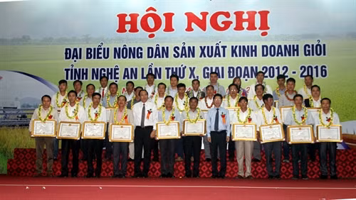 Trao Bằng khen cho các hộ nông dân sản xuất kinh doanh giỏi. Ảnh: Tá Chuyên - TTXVN