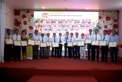 Các cá nhân có thành tích xuất sắc trong phong trào nông dân thi đua sản xuất kinh doanh giỏi nhận bằng khen của UBND tỉnh Long An. Ảnh: Bùi Như Trường Giang-TTXVN