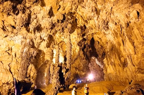 Có nơi cao trên dưới 20 m.