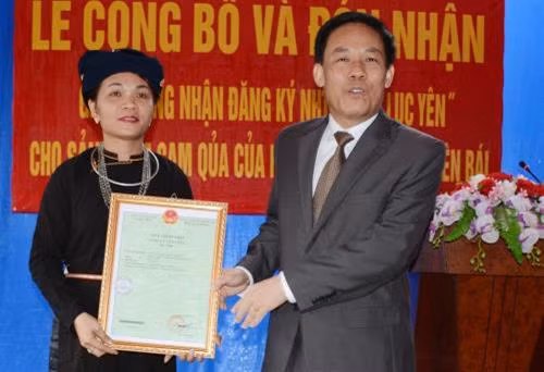 Ông Nguyễn Văn Khánh, Phó Chủ tịch UBND tỉnh Yên Bái trao Giấy chứng nhận “Cam Lục Yên” cho Giám đốc HTX Cam sành Lục Yên. Ảnh: Đức Tưởng – TTXVN