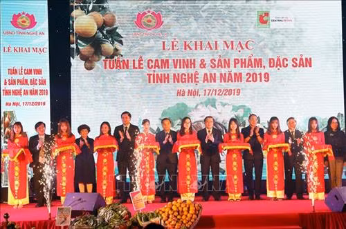 Các đại biểu cắt băng khai mạc Tuần lễ. Ảnh: Huy Hùng - TTXVN