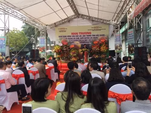 Khai trương gian hàng nông sản tỉnh Bắc Giang và quảng bá Cam, Bưởi Lục Ngạn năm 2019. Ảnh: Hằng Trần -TTXVN