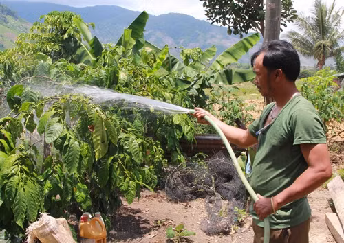 Có điện, người dân xã căn cứ cách mạng Yang Mao, huyện Krông Bông thuận tiện hơn trong việc trồng và chăm sóc cây trồng, vật nuôi.