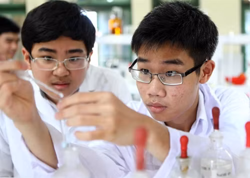 Em Đinh Quang Hiếu, học sinh lớp 11, Trường Trung học phổ thông chuyên Khoa học Tự nhiên, Đại học Quốc gia Hà Nội giành Huy chương Vàng Olympic Hóa học quốc tế. Ảnh: Quý Trung- TTXVN