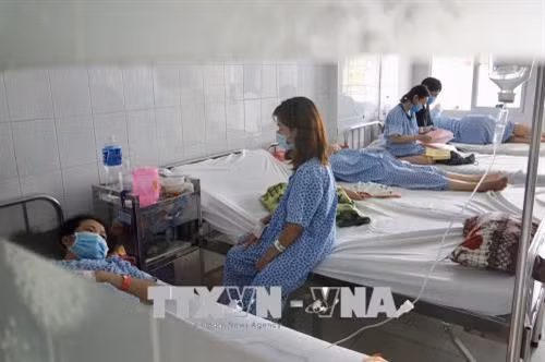 Các bệnh nhân có dấu hiệu nhiễm cúm cuối cùng đang được cách ly điều trị tại một bệnh viện Thành phố Hồ Chí Minh vào đầu tháng 6/2018 . Ảnh: Đinh Hằng - TTXVN