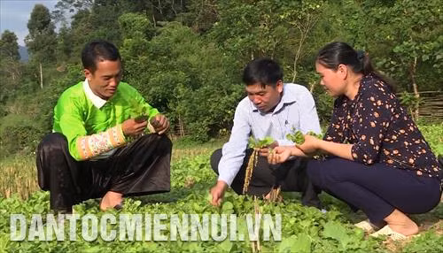 Ông Sung Văn Cấu, người dân tộc Mông (áo xanh) trú tại bản Mùa Xuân, xã Sơn Thủy, huyện Quan Sơn (Thanh Hóa) là tấm gương điển hình góp phần xây dựng vùng biên giới ngày càng bình yên. Ảnh: Nguyễn Nam