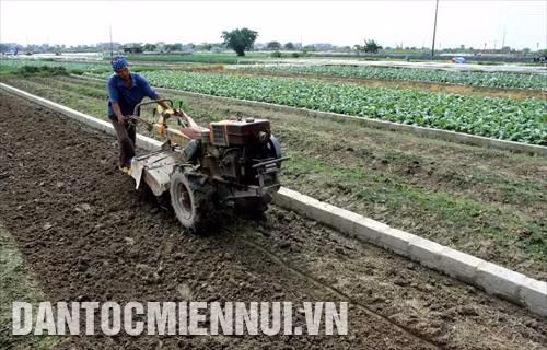 Nên chủ động làm đất trước khi gieo trồng cây vụ đông