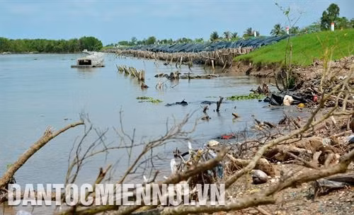 Sạt lở tại khu vực tuyến đê biển Tây thuộc xã Khánh Bình Tây, huyện Trần Văn Thời (Cà Mau). Ảnh: Phúc Thanh