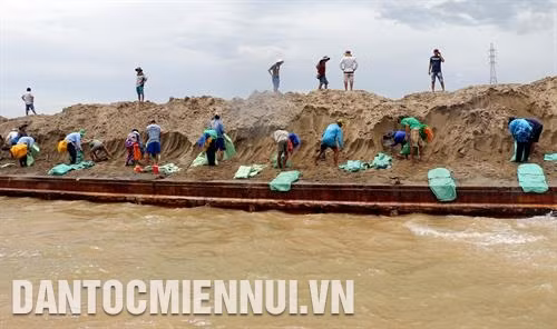Các đơn vị chức năng đang huy động hàng trăm công nhân thả bao cát xuống để gia cố đường bờ, hạn chế sạt lở tại tỉnh An Giang. Ảnh: Đặng Công Mạo