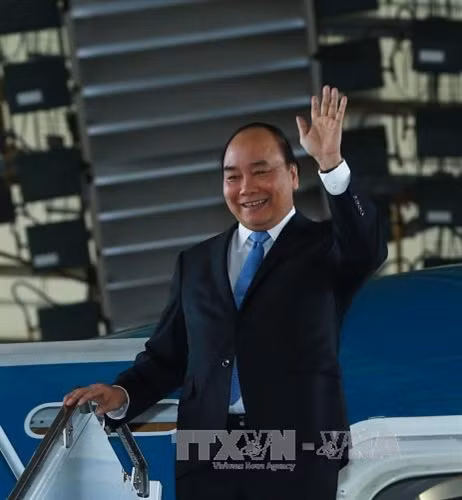 Vải được tập kết tới điểm thu mua.