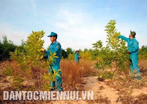 Cán bộ Ban quản lý rừng phòng hộ Lê Hồng Phong kiểm tra tỷ lệ sống sót các loại cây rừng được trồng tại khu vực xã Hòa Thắng, huyện Bắc Bình. Ảnh: An Hiếu Tuyên truyền, vận động người dân ở các huyện ven biển của tỉnh Bình Thuận cùng chung tay bảo vệ rừng. Ảnh: An Hiếu