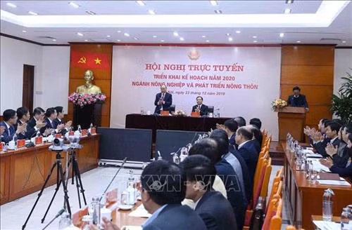 Năm 2019, kim ngạch xuất khẩu nông, lâm, thủy sản ước đạt kỷ lục mới với 41,3 tỷ USD; tỷ lệ che phủ rừng 41,85%. Ảnh: Vũ Sinh - TTXVN