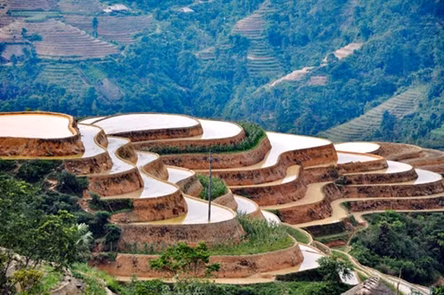 Ruộng bậc thang ở Quảng Ngần (Vị Xuyên).
