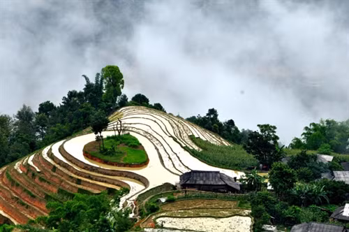 Buổi sớm ở Bản Phùng (Hoàng Su Phì).