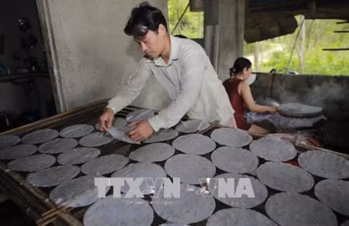 Làm bánh tráng, bánh ướt đòi hỏi sự tỉ mỉ, nhẫn nại. Ảnh: Hồ Cầu - TTXVN