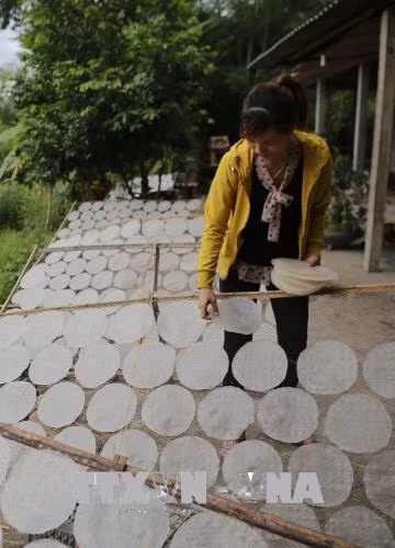 Người dân làng Lựu Bảo phơi bánh tráng. Ảnh: Hồ Cầu-TTXVN