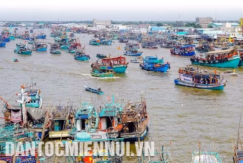 Sông Đốc là một trong những đô thị bến cảng có đội tàu và quy mô đánh bắt hải sản lớn nhất nước. Ảnh: Kim Há