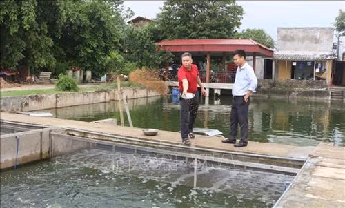 Mô hình nuôi cá ứng dụng công nghệ "sông trong ao" của anh Trần Thái Hữu, xã Mỹ Thọ, huyện Bình Lục, Hà Nam. Ảnh: Nguyễn Chinh - TTXVN
