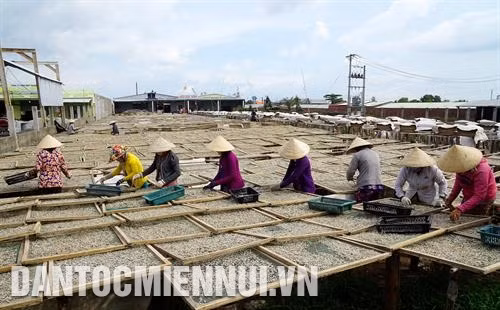 Tận dụng lợi thế của một đô thị bến cảng lớn, Sông Đốc đã và đang phát triển dịch vụ hậu cần nghề cá như sửa chữa tàu, đan - vá lưới, chế biến hải sản khô.... Ảnh: Kim Há
