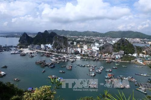 Khu Kinh tế Vân Đồn - khởi đầu cho mục tiêu khu kinh tế mở và hướng tới mô hình đặc khu phát triển toàn diện. Ảnh : Minh Quyết - TTXVN