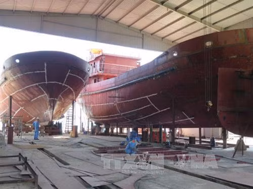 Quảng Nam tạo điều kiện để ngư dân vươn khơi bám biển ảnh 2