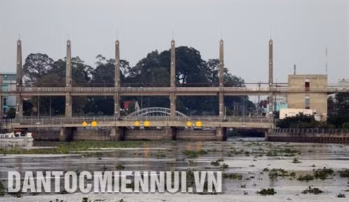 Đóng cửa cống để dự trữ và có nguồn nước ngọt phục vụ sản xuất nông nghiệp. Ảnh: K' GửiH
